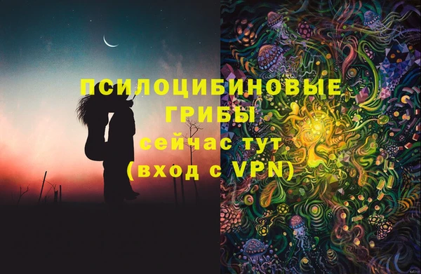 молекула духа Армянск